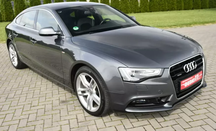 Audi A5 3.0tdi Quattro, Navi, Bi-Xenon, Automat, S-Line, Alcantara, SERWIS zdjęcie 1