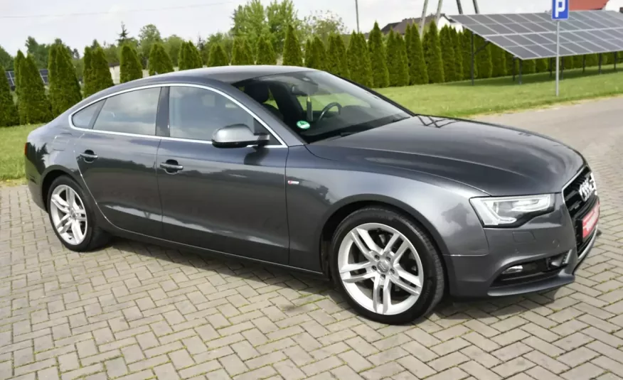 Audi A5 3.0tdi Quattro, Navi, Bi-Xenon, Automat, S-Line, Alcantara, SERWIS zdjęcie 2