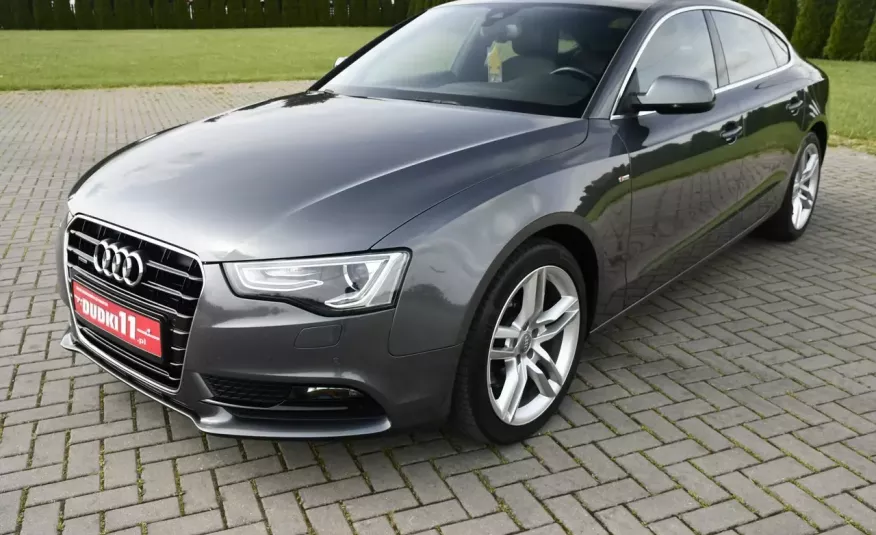 Audi A5 3.0tdi Quattro, Navi, Bi-Xenon, Automat, S-Line, Alcantara, SERWIS zdjęcie 4
