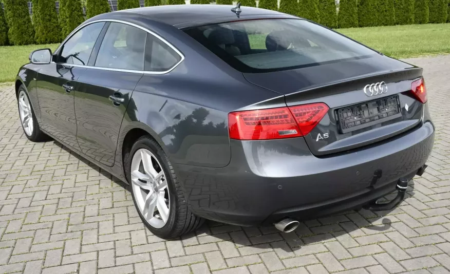 Audi A5 3.0tdi Quattro, Navi, Bi-Xenon, Automat, S-Line, Alcantara, SERWIS zdjęcie 6