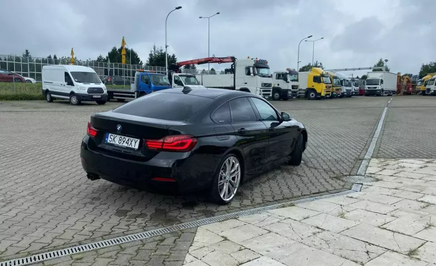 BMW 320 420IX, XDRIVE, 1wł, , mały przebieg, Bi-XENON, Warto zdjęcie 4