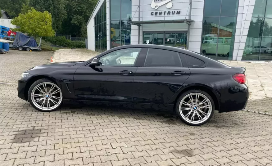 BMW 320 420IX, XDRIVE, 1wł, , mały przebieg, Bi-XENON, Warto zdjęcie 6