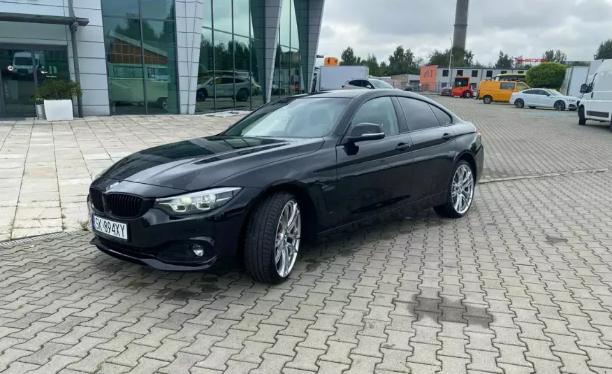 BMW 320 420IX, XDRIVE, 1wł, , mały przebieg, Bi-XENON, Warto zdjęcie 7