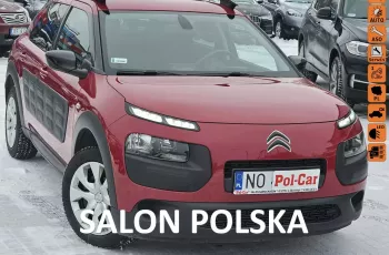 Citroen C4 Cactus pierwszy właścicel, serwis, bezwypadkowy, bogato wyposażony