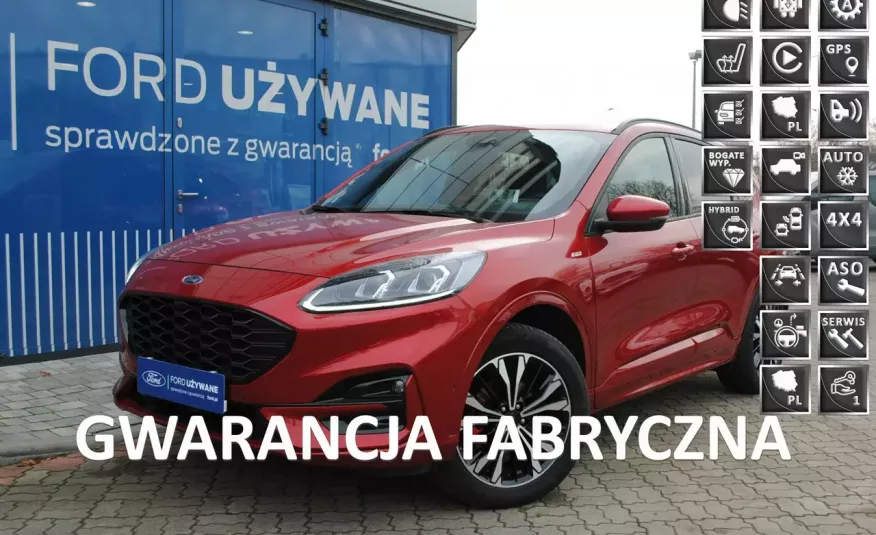 Kuga ST-LineX 2, 5Hybrid FHEV e-CVT AWD Gwarancja ASO Forda zdjęcie 