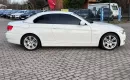 BMW Seria 3 Alpin Weiss Kabriolet Kamera Cofania Automat zdjęcie 9