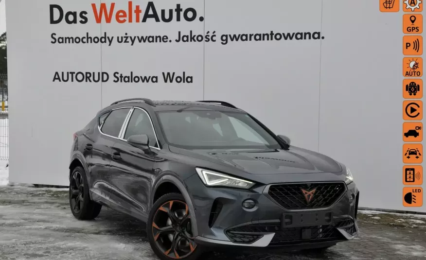 Cupra Formentor 2.0TSI VZ 245KM DSG7 Kamery360 El.Klapa FullLink AutoNowe Gwar.Prod FV zdjęcie 