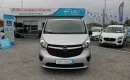 Opel Vivaro F-Vat, Brygadówka, Salon Polska.6-osobowy, L1H1, Czujniki Parkowania zdjęcie 1